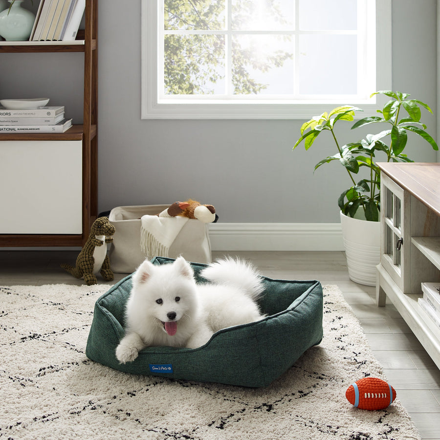Dog Beds