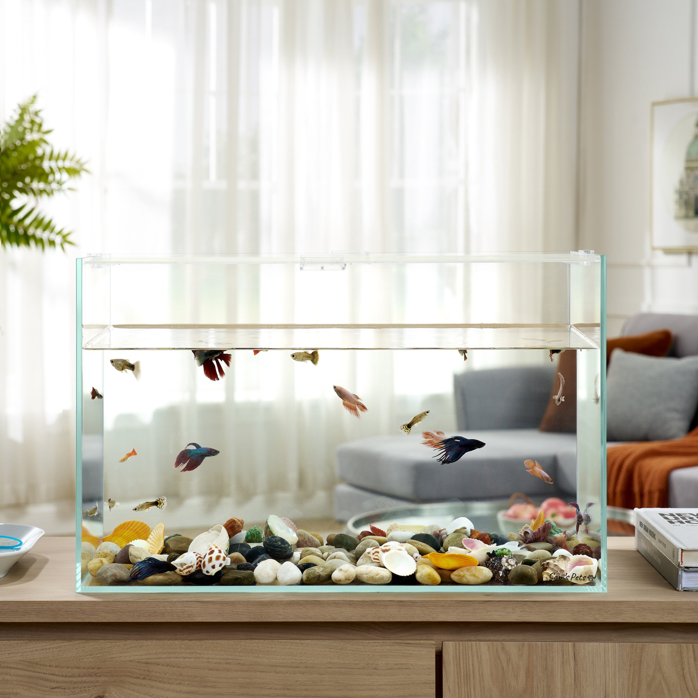 Fish