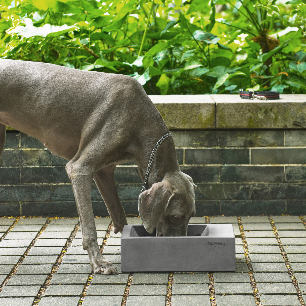 Duke Pet Bowl 13'' In Dark Grey