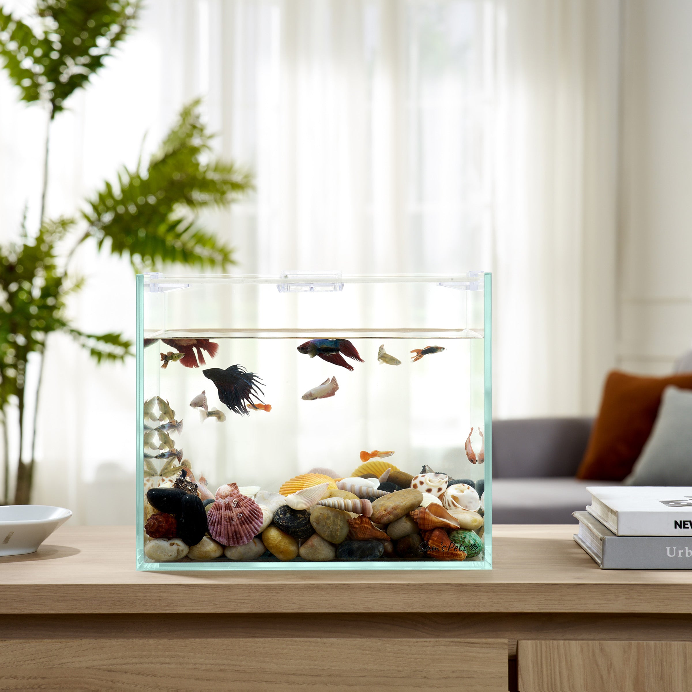 Sam's Pets Cove 5 Gallon Fish Tank