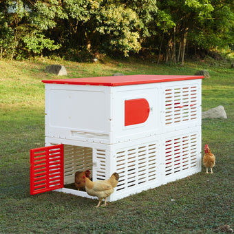 Kuritsa Chicken Coop