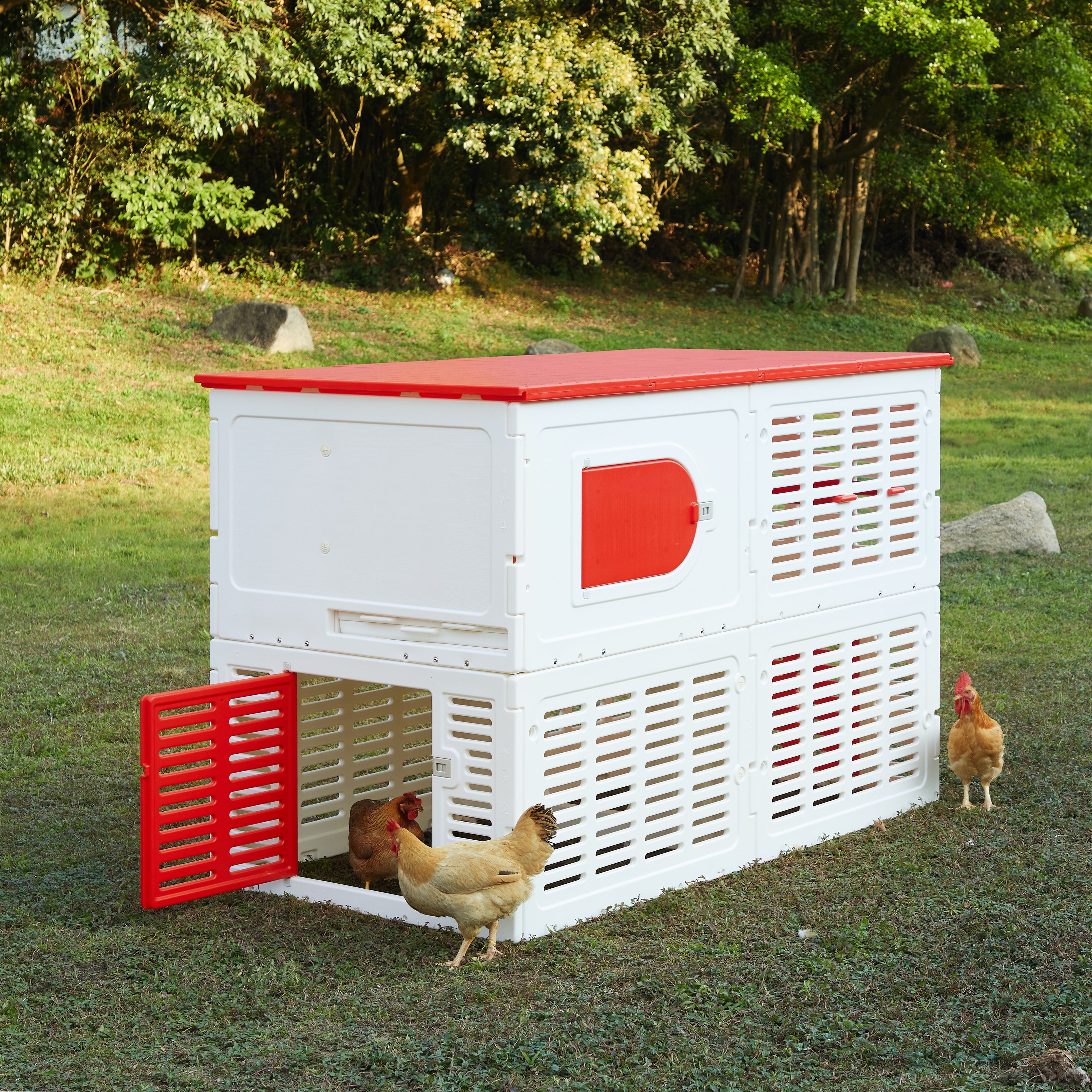 Kuritsa Chicken Coop