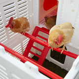 Kuritsa Chicken Coop