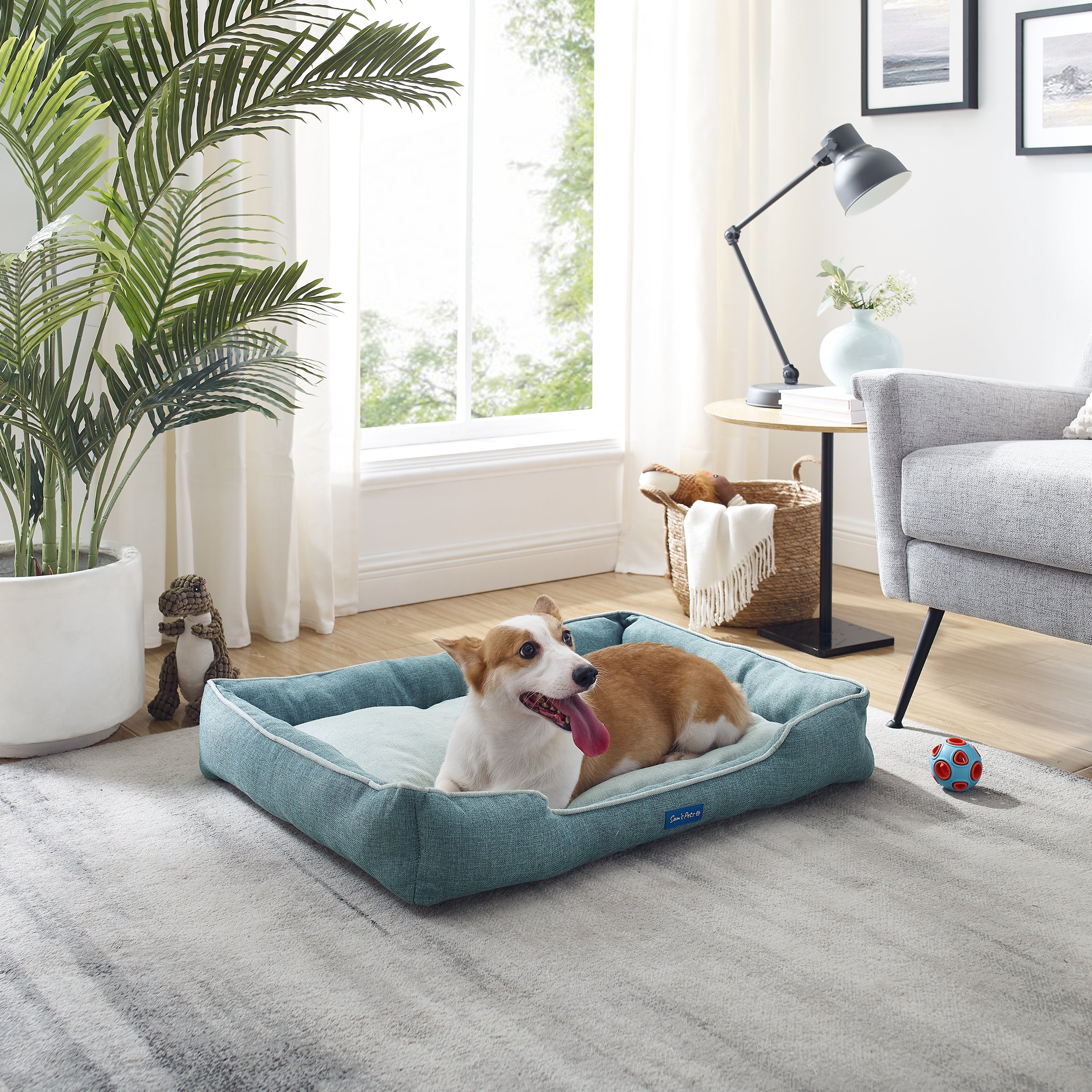 Arthur Large Teal Dog Bed