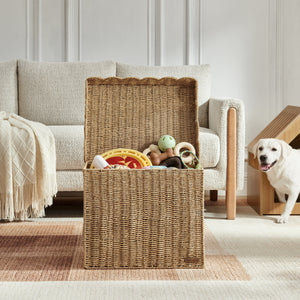 Sam's Pets Nest & Fetch 19"  Wicker Storage Chest in Natural Oak