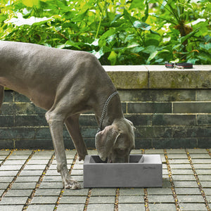 Sam's Pets Concrete Duke Pet Bowl 13'' In Dark Grey