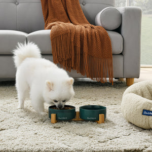 Coco Dual Pet Bowl With Wood Stand 5.11 In Green