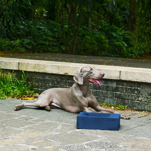 Sam's Pets Concrete Duke Pet Bowl 13'' In Navy Blue