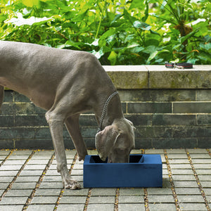 Sam's Pets Concrete Duke Pet Bowl 13'' In Navy Blue
