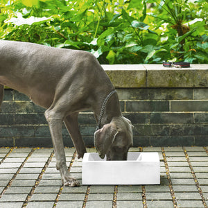Sam's Pets Concrete Duke Pet Bowl 13'' In Sand White