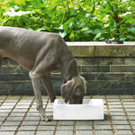 Sam's Pets Duke Pet Bowl 13'' In Sand White