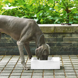 Sam's Pets Duke Pet Bowl 13'' In Sand White