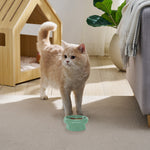 Sam's Pets Short Tulip 2.0 Pet Bowl in Glossy Mint