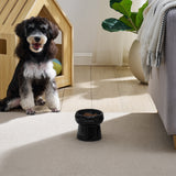 Sam's Pets Tall Tulip 2.0 Pet Bowl in Glossy Black