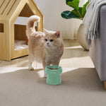 Sam's Pets Tall Tulip 2.0 Pet Bowl in Glossy Mint