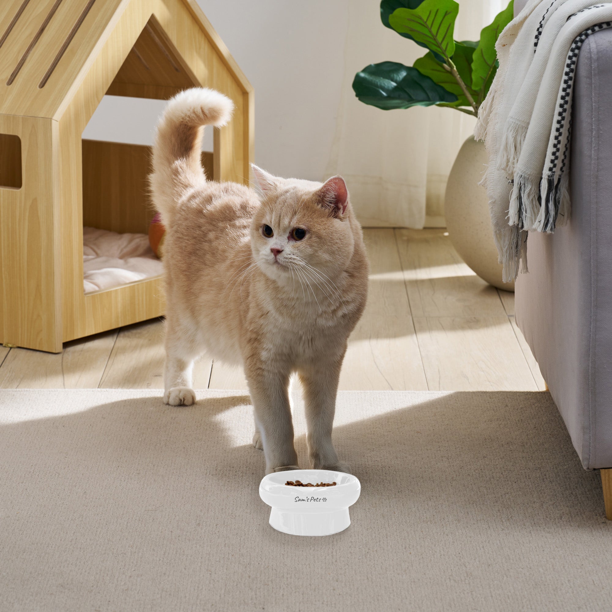 Sam's Pets Short Tulip 2.0 Pet Bowl in Glossy White