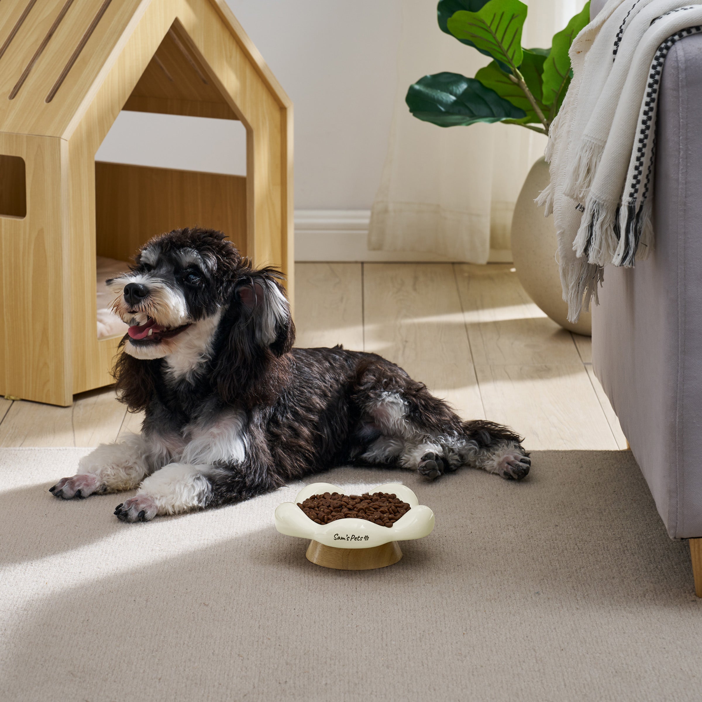 Sam's Pets Daisy Oak Stand Pet Bowl In Glossy White