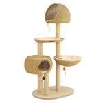Sam's Pets Chase 63" Cat Tree In Natural Oak