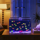 Sam's Pets Tide 11 Gallon Filtered  Fish Tank