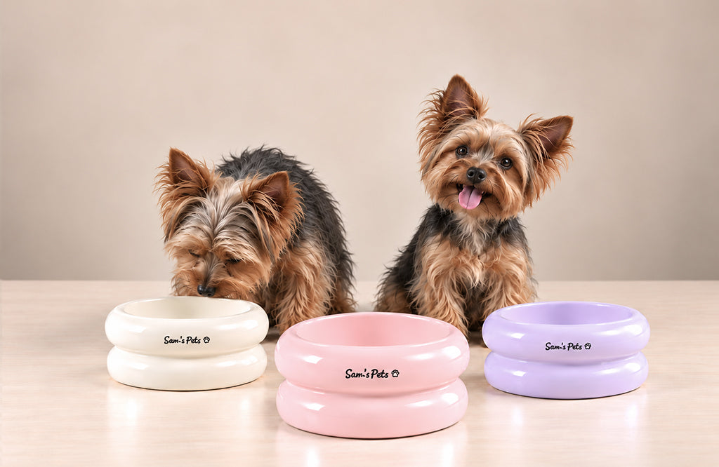 Two small Yorki dogs sit behind three tulip shaped pet bowls in pastel purple, pink and white