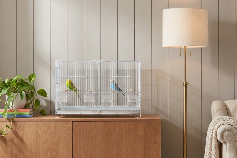 A styled interior scene with a light wood sideboard cabinet, a white bird cage with two small birds, a floor lamp, a sofa with a cream throw, and wall art against paneled beige walls.