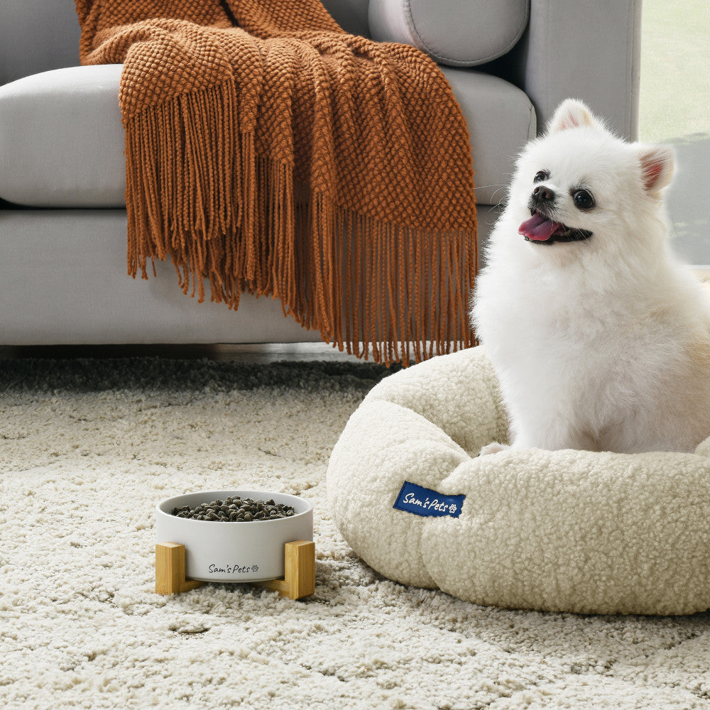 Coco Single Pet Bowl With Wood Stand 5.11 In White
