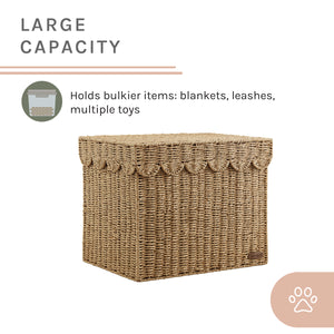 Sam's Pets Nest & Fetch 19"  Wicker Storage Chest in Natural Oak
