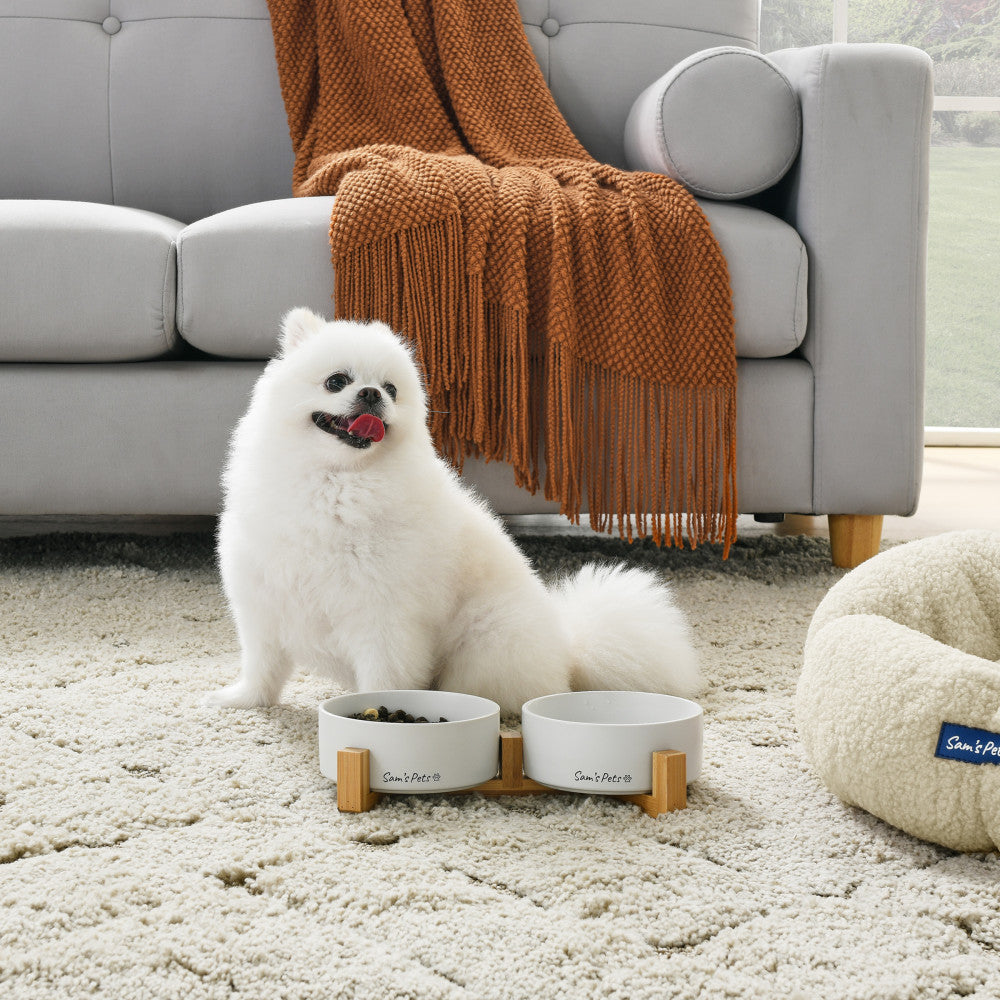 Coco Dual Pet Bowl With Wood Stand 5.11 In White