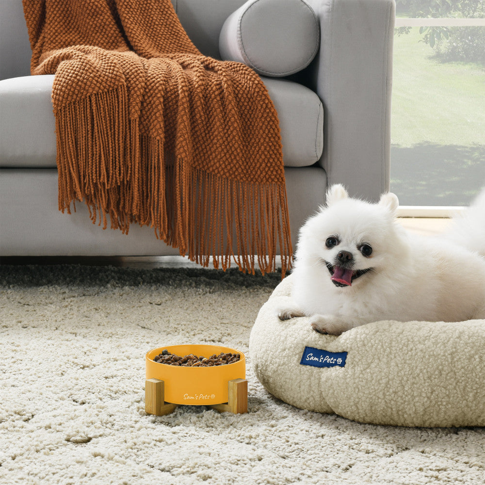 Coco Single Pet Bowl With Wood Stand 5.11 In Yellow