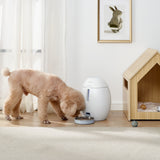 Cosmo 3.5L Automatic Dog/Cat Feeder In White