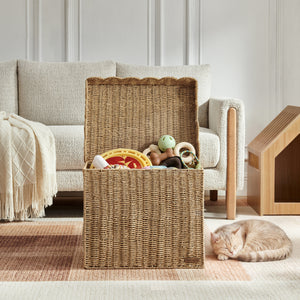 Sam's Pets Nest & Fetch 19"  Wicker Storage Chest in Natural Oak