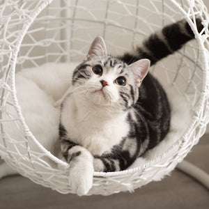 Nala Hanging Egg Cat Condo White