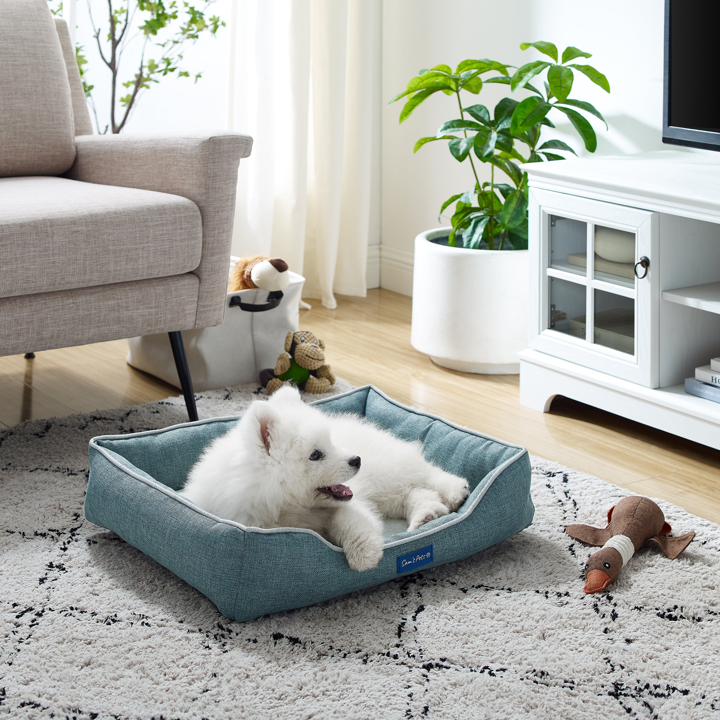 Arthur Small Teal Dog Bed
